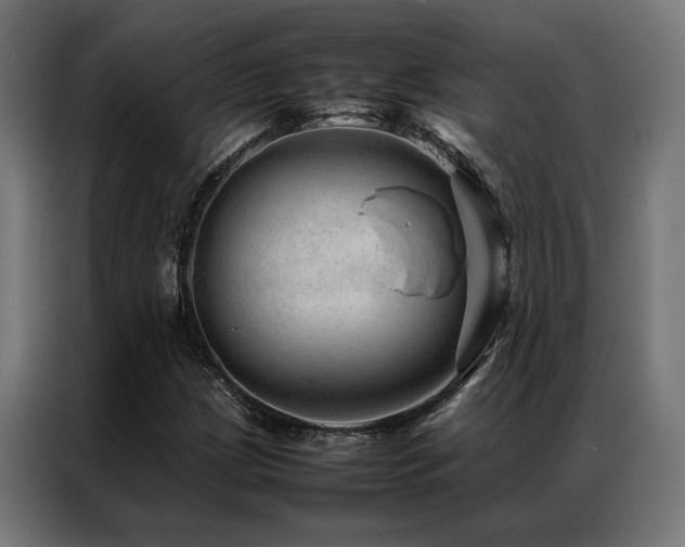 X0000086991209200704161500
