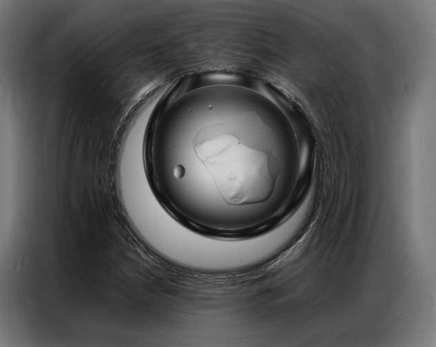 X0000086991210200704161500