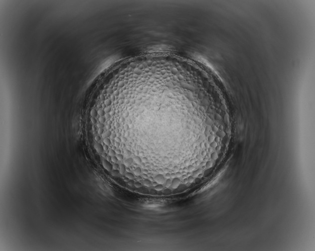 X0000086991211200704161500