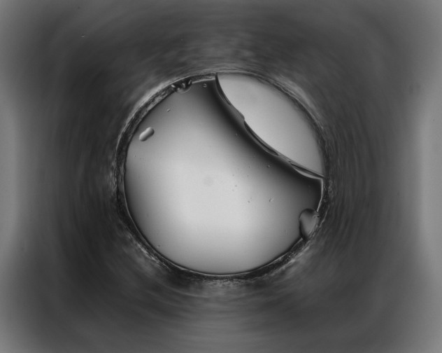 X0000086991212200704161500