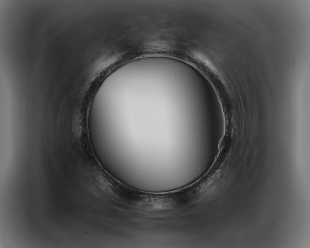 X0000086991213200704161500