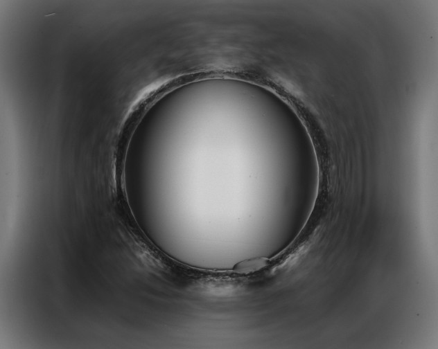 X0000086991214200704161500