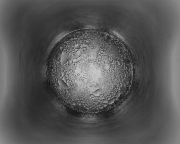X0000086991215200704161500