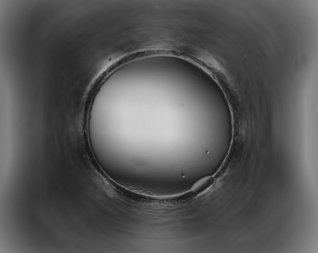 X0000086991216200704161500