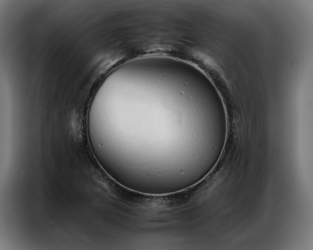 X0000086991217200704161500