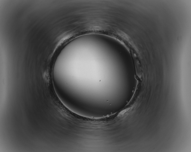 X0000086991218200704161500
