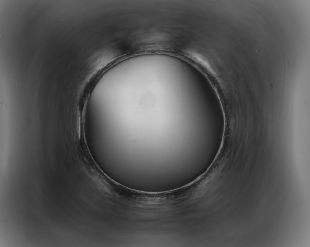 X0000086991219200704161500