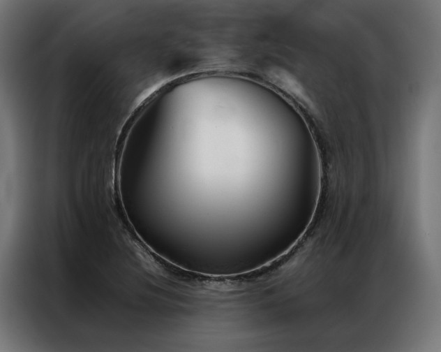 X0000086991220200704161500