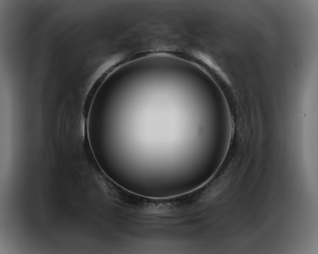 X0000086991221200704161500