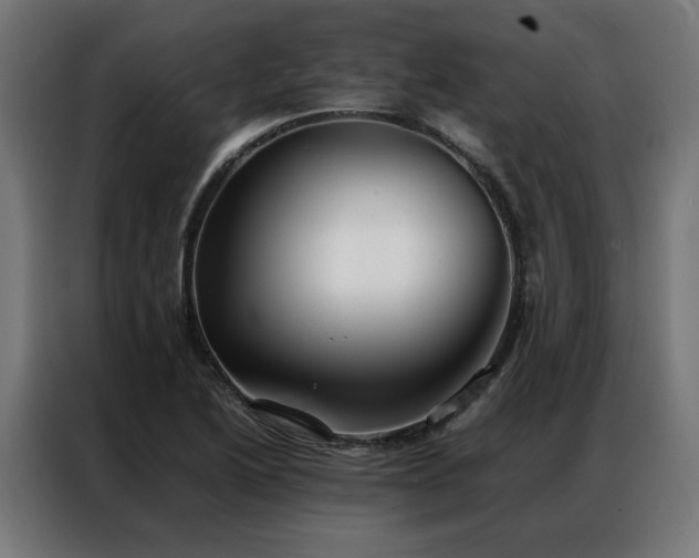X0000086991222200704161500