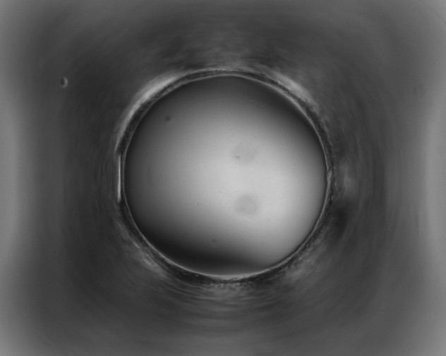 X0000086991223200704161500
