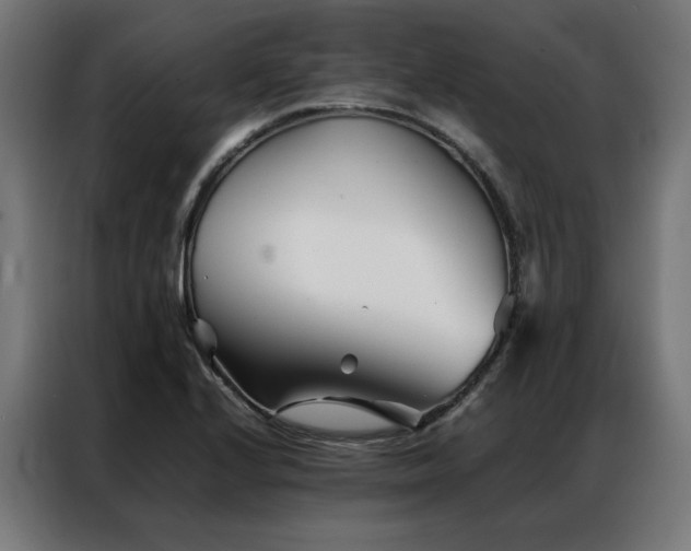 X0000086991224200704161500