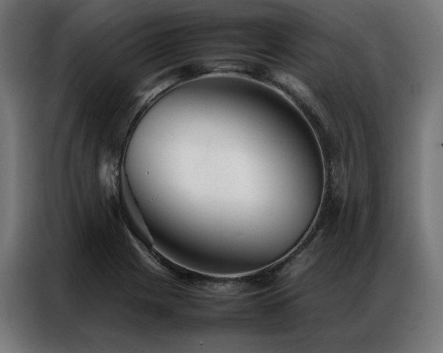 X0000086991225200704161500
