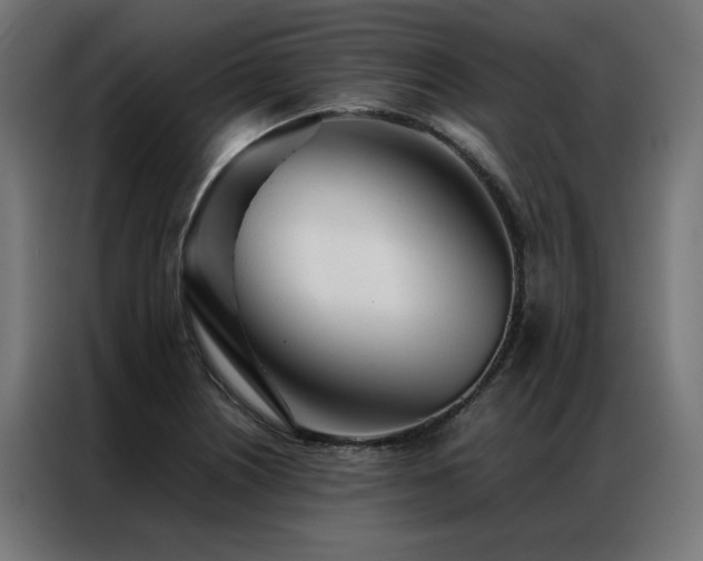 X0000086991226200704161500