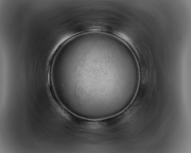 X0000086991227200704161500