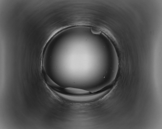 X0000086991228200704161500