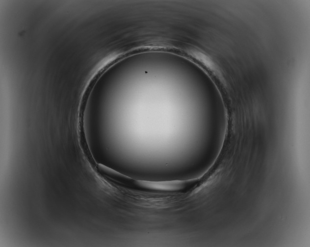 X0000086991229200704161500