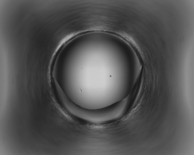 X0000086991230200704161500