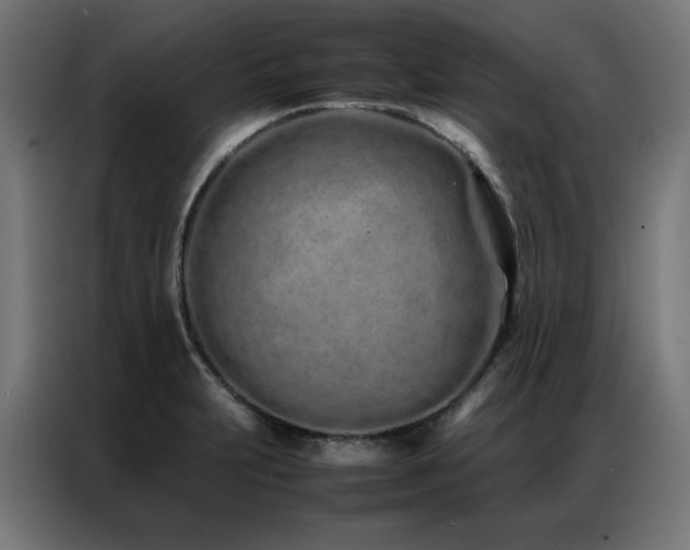 X0000086991231200704161500