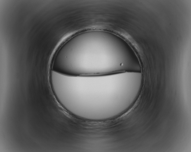 X0000086991232200704161500