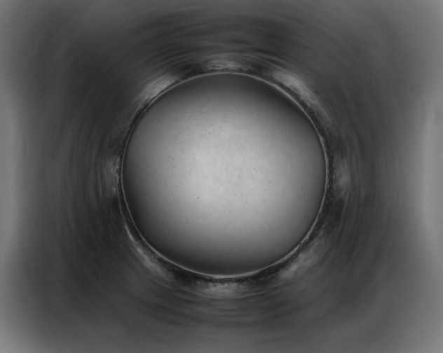 X0000086991233200704161500