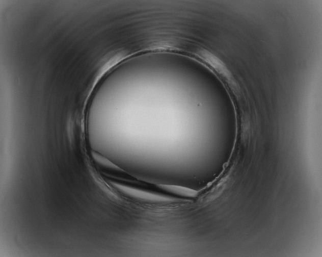 X0000086991234200704161500