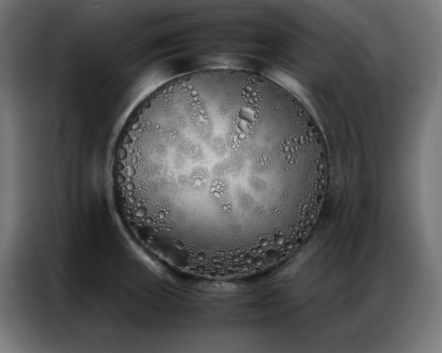 X0000086991235200704161500