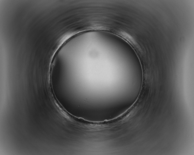 X0000086991236200704161500