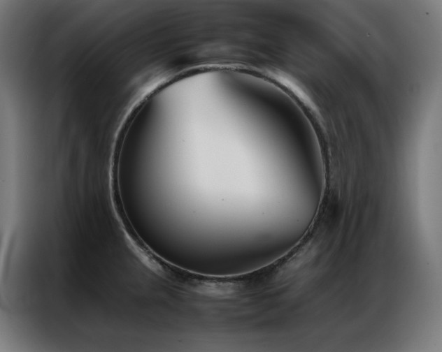 X0000086991237200704161500