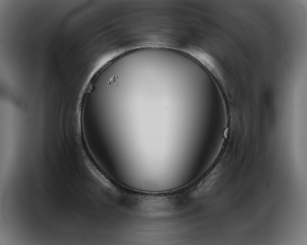 X0000086991238200704161500