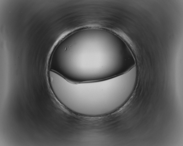 X0000086991240200704161500