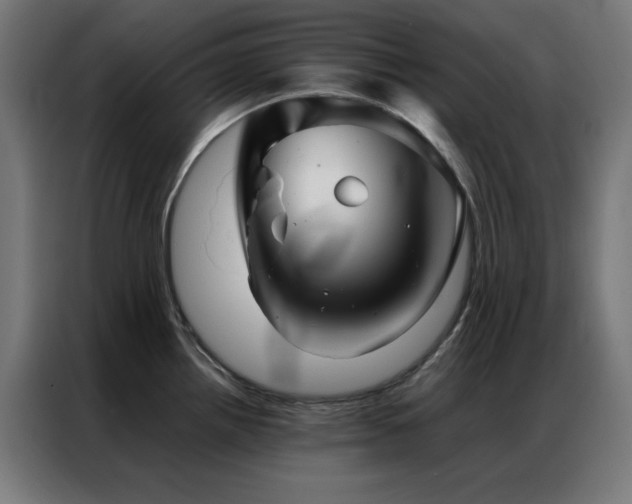 X0000086991242200704161500