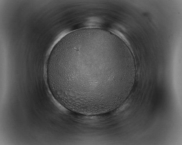 X0000086991243200704161500
