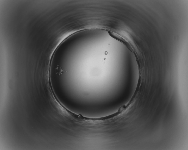 X0000086991244200704161500