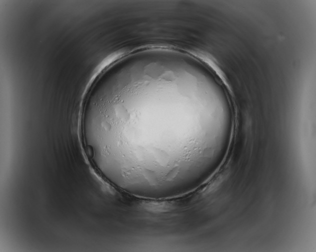 X0000086991245200704161500