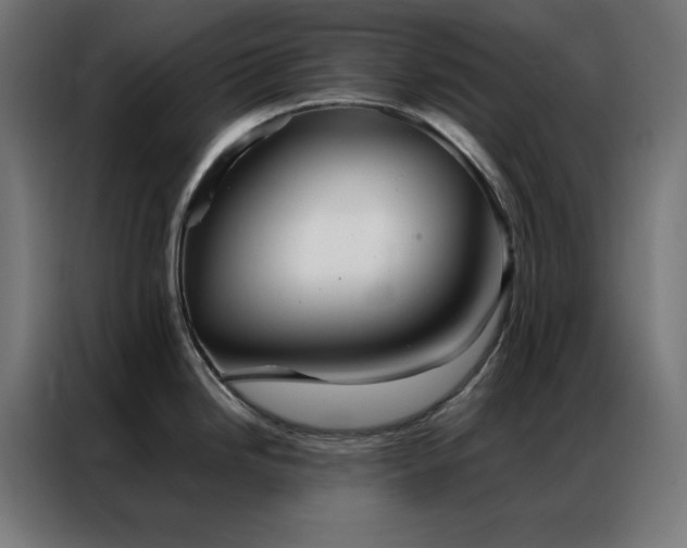 X0000086991246200704161500