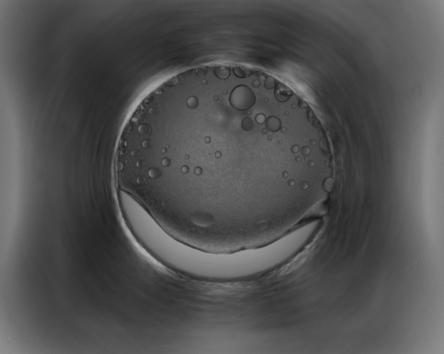 X0000086991247200704161500