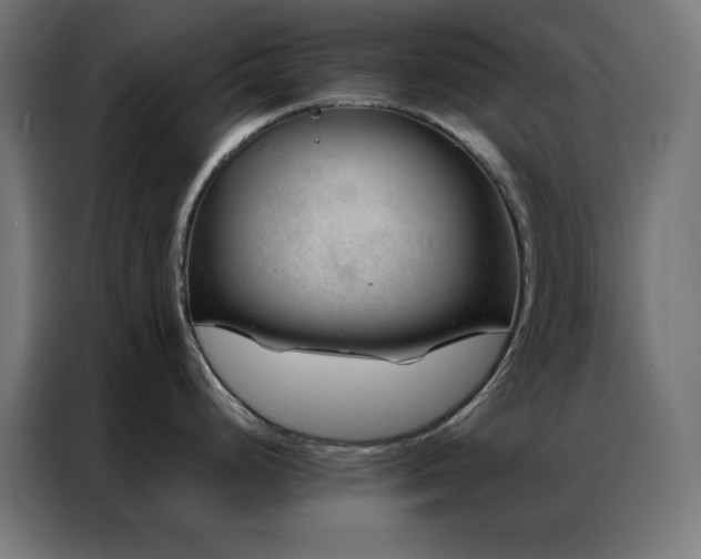 X0000086991248200704161500