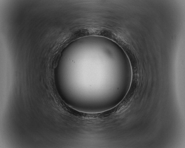 X0000086991249200704161500