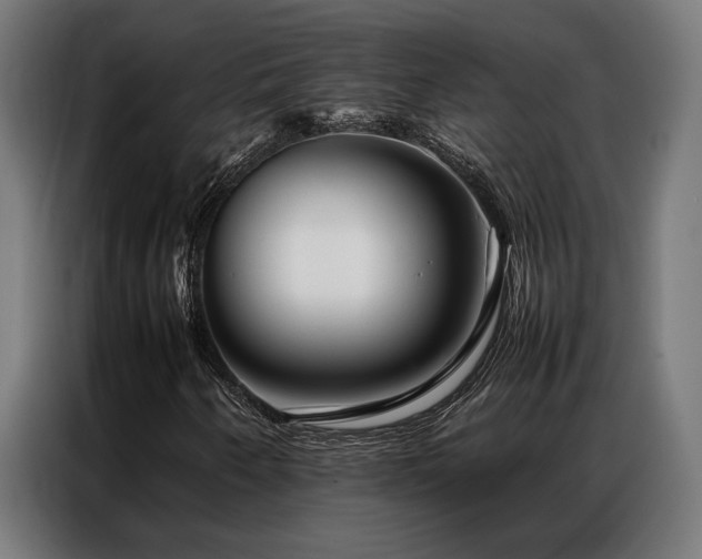 X0000086991250200704161500