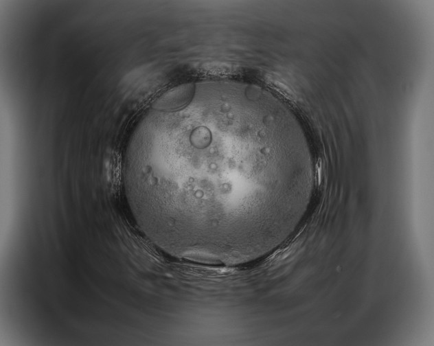 X0000086991251200704161500