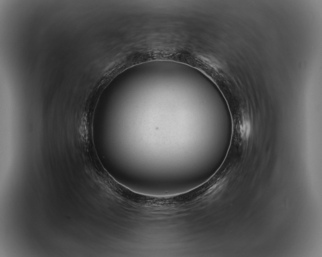X0000086991252200704161500