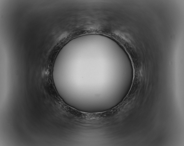 X0000086991254200704161500