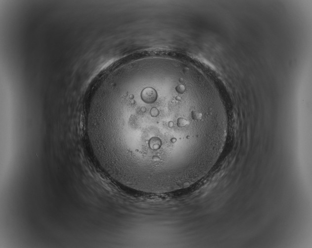 X0000086991255200704161500