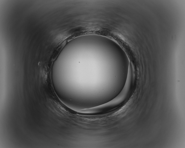 X0000086991257200704161500