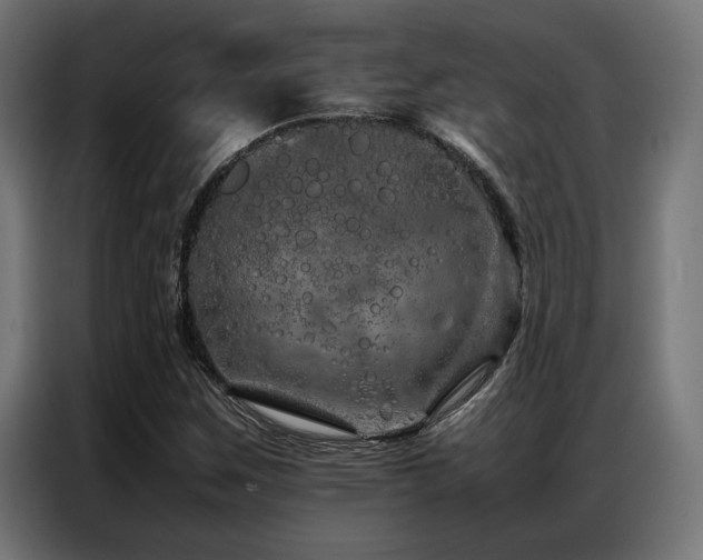 X0000086991259200704161500