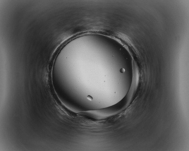 X0000086991260200704161500