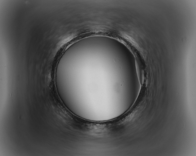 X0000086991261200704161500