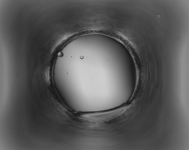 X0000086991262200704161500