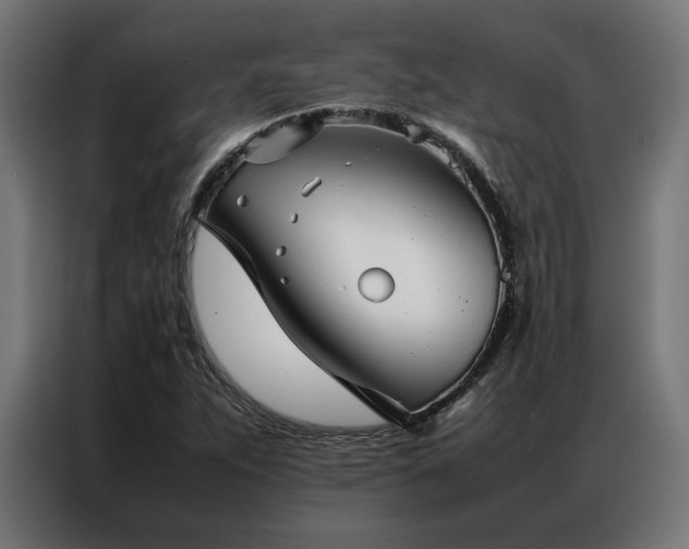 X0000086991263200704161459